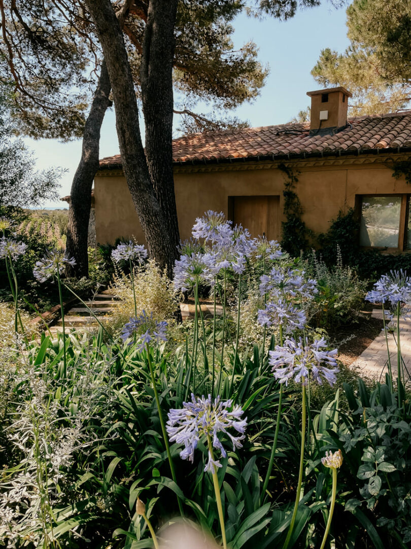 Photo prise par @sophiebacherephotos. Jardin du Château l'Hospitalet à Narbonne